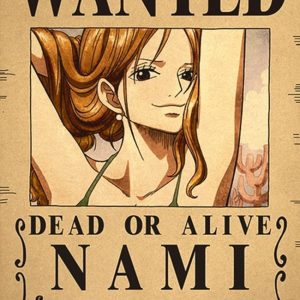 nami wanted poster