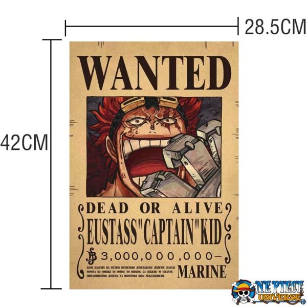 One Piece Main Characters Wanted Poster